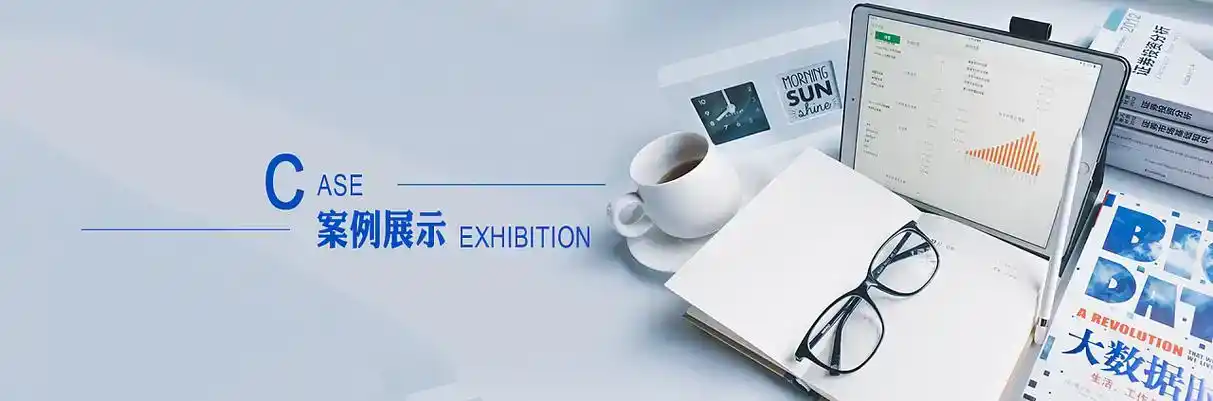 凤凰县软件开发